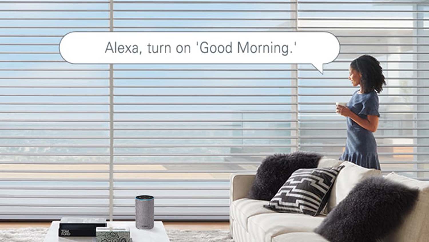 Motorized Hunter Douglas window treatments controlled in a modern living space